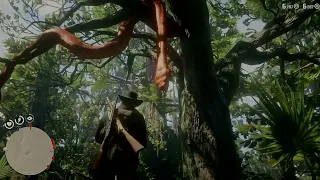 RDR2 - Anaconda Géant Serpent ! WHY DEAD ? Red Dead Redemption 2