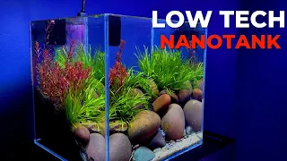 How to make small aquarium for beta fish at home step by step guide lowtech low buget