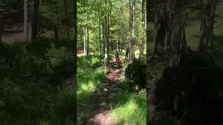 Beta 300 RX  woods ride