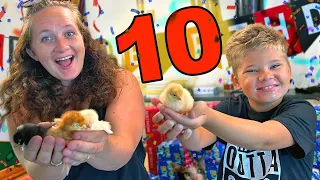 Ollie Turns 10 Years Old!! 🎉 (BIRTHDAY CHICKEN SURPRISE!!)