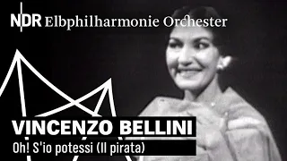 Maria Callas sings Bellini: "Oh! S'io potessi" (1959) | Il pirata | NDR Elbphilharmonie Orchestra