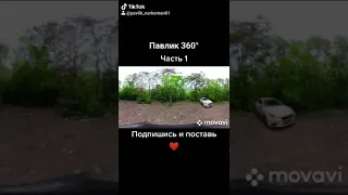 Павлик 360 °