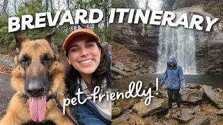 I LOVE Brevard! 😍 (exploring NC's Land of Waterfalls!)