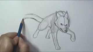 How to Draw Motion  Wolf Running