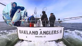 My first time fishing San Fransisco Bay with OAKLAND ANGLERS