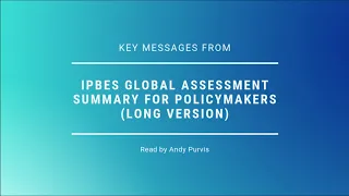 Long version: Key Messages from IPBES Global Assessment Summary for Policymakers