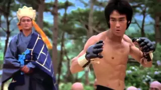 Bruce Lee VS Tony Jaa (lektor pl)