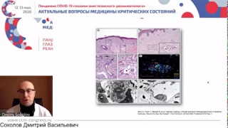 Клинические сценарии использования экстракорпоральной гемокоррекции