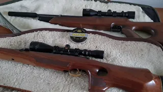 Why Are Spring Air Rifles Better Than PCP's?