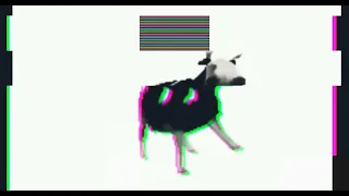 Polish Cow (glitched)