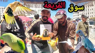 سوق القريعة للطيور 🇲🇦 الاحد تعرف على أثمنة  جميع طيور الزينة والمغردة#سوق_القريعة