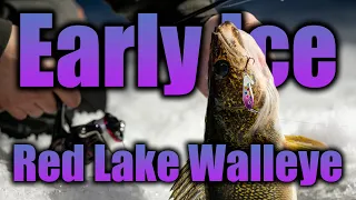 Early Ice Red Lake Walleyes