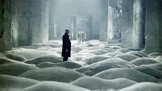 La freschezza dell'esistenza -  dal film STALKER di Andrej Tarkovskij      (1979)