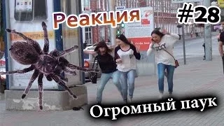 Огромный Паук на Улице Города / Big Scary Spider Prank (Реакция 28)