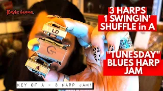 How To Not Suck but Swing on 3 Harps!🎵- Blues Harmonica Jam  - Blues Harp Licks  - Tunesday 96