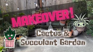 DIY Succulent & Cactus GARDEN MAKEOVER Patio Plant TOUR