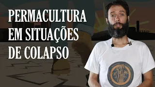 Permacultura em Situações de Colapso: Workshop Gratuito e Online