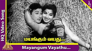 Mayangum Vayadhu Video Song | Kanavan Movie Songs | M G R | Jayalalitha | M S V | Pyramid Music