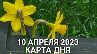 10 апреля 2023 | карта дня | все знаки зодиака 🃏🍀💫