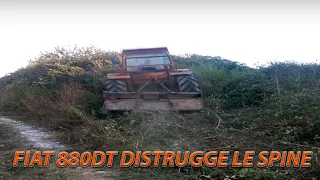 FIAT 880 DT tractor destroying the thorns