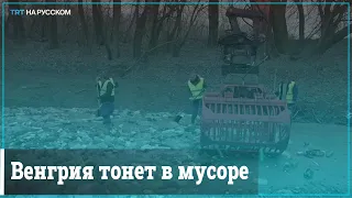 Паводки принесли в Венгрию мусор из соседних стран