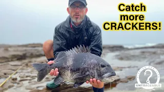 Catching Black Steenbras (Musselcracker) using catfish bait | PROOF our bait works!