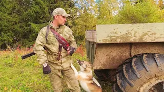 ПОХОД С СОБАКОЙ В ТАЙГУ НА ОХОТУ/ НАТАСКИВАЮ МОЛОДУЮ ЛАЙКУ НА БОРОВУЮ ДИЧЬ. КАРАКАТ ОХОТНИК.