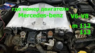 Где находится номер двигателя Mercedes-Benz V6-V8 m112/113
