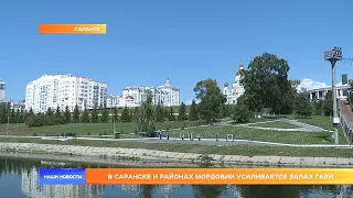 В Саранске и районах Мордовии усиливается запах гари