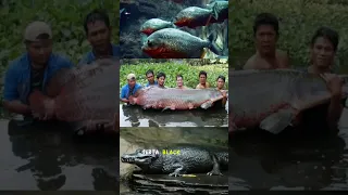 Saking Bahayanya sungai sungai ini #shortsyoutube #feedshorts