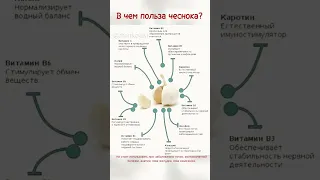 Будьте здоровы! Ешьте чеснок! Подробнее в описании...