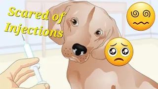 Dogs are also scared of injections 💉 😢 😳 funny animals