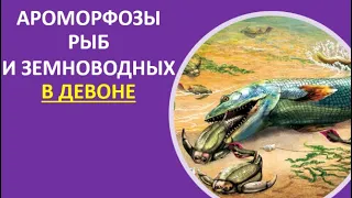 21. Ароморфозы рыб и земноводных в девоне