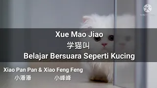 学猫叫 Xue Mao Jiao - Xiao Pan Pan & Xiao Feng Feng (Lirik & Terjemahan Indonesia)