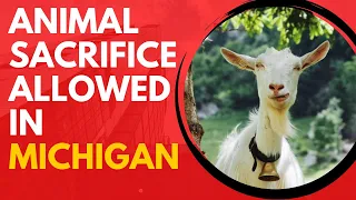 Michigan, Hamtramck  Animal Sacrifice Allowed For Religous Purposes