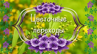 Цветочные футажи и переходы для Proshow Producer