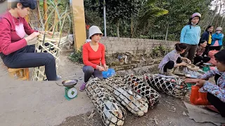 weave bamboo chicken cages, catch chickens and sell them to get money for Tet