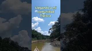 Llegando a la comunidad Tipisca Puerto Nariño en Verano #amazonas #puerto Nariño #Shorts #Short