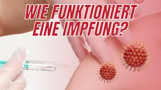 Wie funktioniert eine Impfung? | Immunsystem