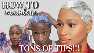 THE BEST PRODUCTS FOR PLATINUM BLONDE PIXIE | TONS OF TIPS | ARIELL ASH