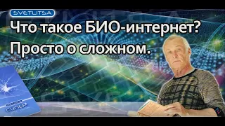 Что такое БИО интернет?