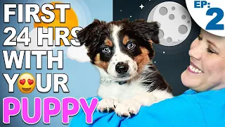 Your First Day And Night With A New Puppy - Bringing Home A New Puppy Episode 2