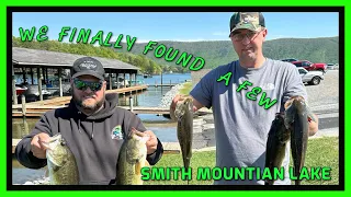 Bass Tournament On Smith Mountain Lake | Bed Fishing