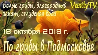 🌳По грибы в Подмосковье 18 октября 2018 г🌳Белые грибы, благородный закат, студеная вода