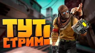 ЭЛО ГЕНГ НА СВЯЗИ | СТРИМ ПО КС ГО - CS GO!