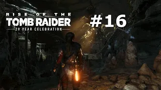 МЕСТНЫЕ РЫЦАРИ/Rise of the Tomb Raider 20 Year Celebration/ПРОХОЖДЕНИЕ 16