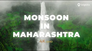 Monsoon in Maharashtra | 4K Video | Tripoto