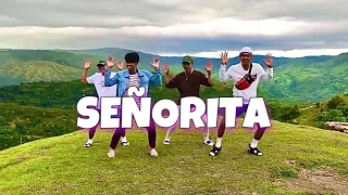 SEÑORITA Tiktok Dance | Mastermind Choreography