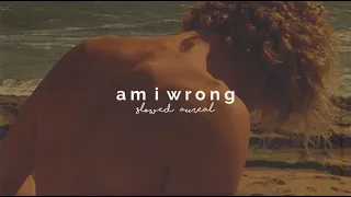 nico & vinz - am i wrong (slowed + reverb)