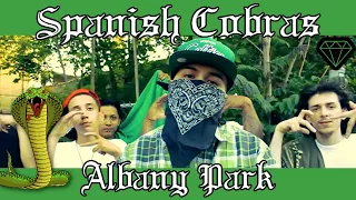 🐍L.A "P***y N***a" [Chicago Insane Spanish Cobras] Albany Park North Side YLO